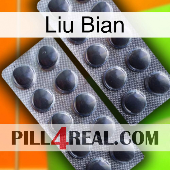 Liu Bian 31